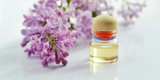 Lavender and Peppermint Oils for Sleep and Energy