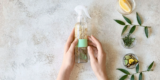 What Are the Top Natural Air Fresheners for Home?